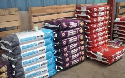 Understanding Different Types of Animal Feed: Grains, Pellets, and Supplements