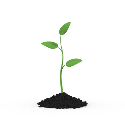 Plants Icon