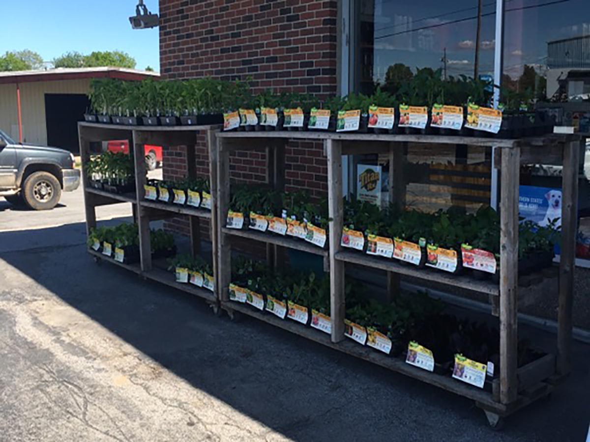 Plants Hall's Farm & Feed