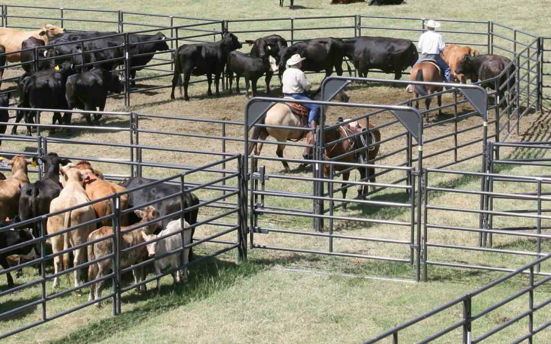 Farm and Feed Store Near Me — A Practical Guide for Central Kentucky