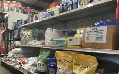 5 Reasons Why Hall’s Farm and Feed Store Is the Go-To Place for Quality Supplies