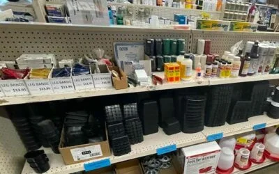 The Importance of Supporting Your Local Farm and Feed Store: A Community Perspective