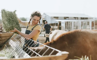 A Year‑Round Livestock Feeding Guide for Kentucky Farmers