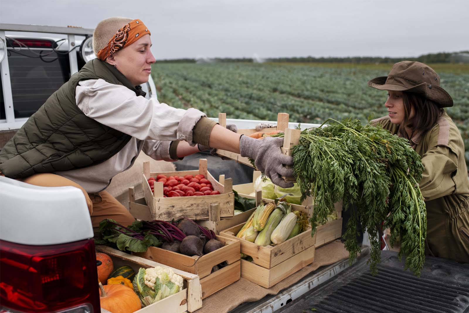 Agricultural Supply Store-img1 agricultural supply store Nicholasville KY storefront