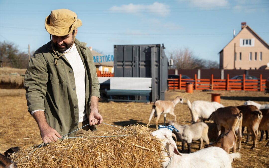 Farm Feed Store Nicholasville KY for Quality Feed, Farm Supplies, and Livestock Products