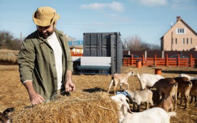 Farm Feed Store Nicholasville KY for Quality Feed, Farm Supplies, and Livestock Products