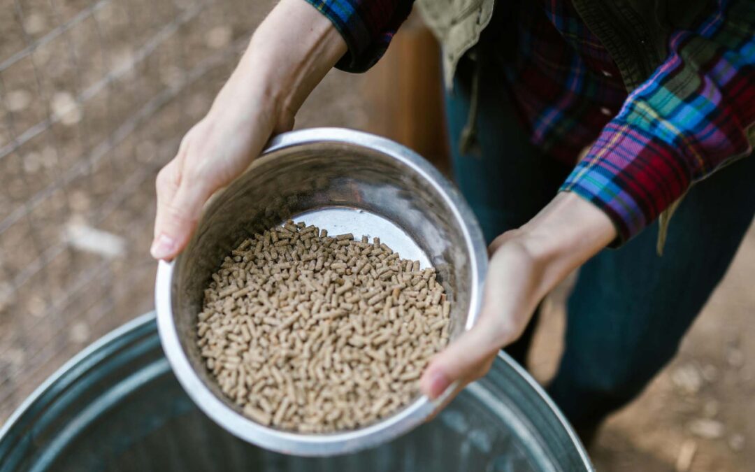 Nicholasville Farm Supply Store for Feed, Hay, Fencing, and More
