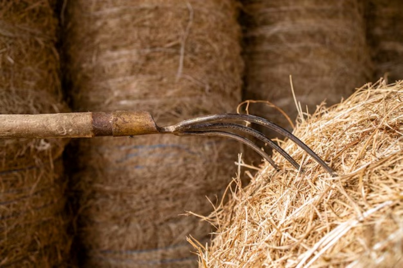 Farm Feed Store Nicholasville KY 1 Old wooden pitchfork resting on a bale of straw inside a barn.