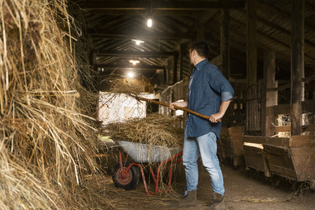 man-working-with-pitchfork-side-view - Hall's Farm & Feed Man in a blue denim shirt raking hay inside a dim wooden barn, with a red wheelbarrow nearby.